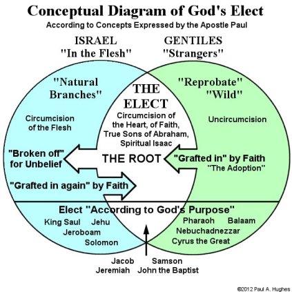 Conceptual Diagram of God's Elect
